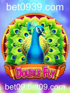 Explorando o Jogo DoubleFly: Tudo o que Você Precisa Saber